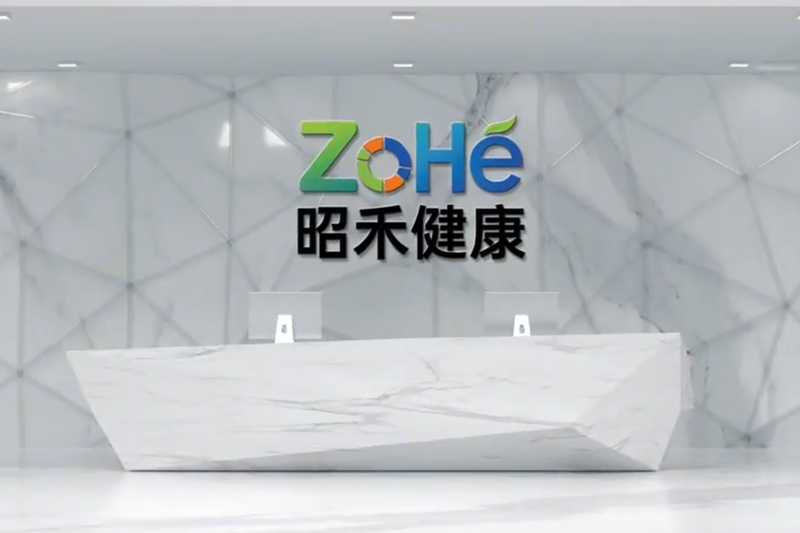 Company Introduction (English Version)