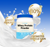 Whey Protein Powder 